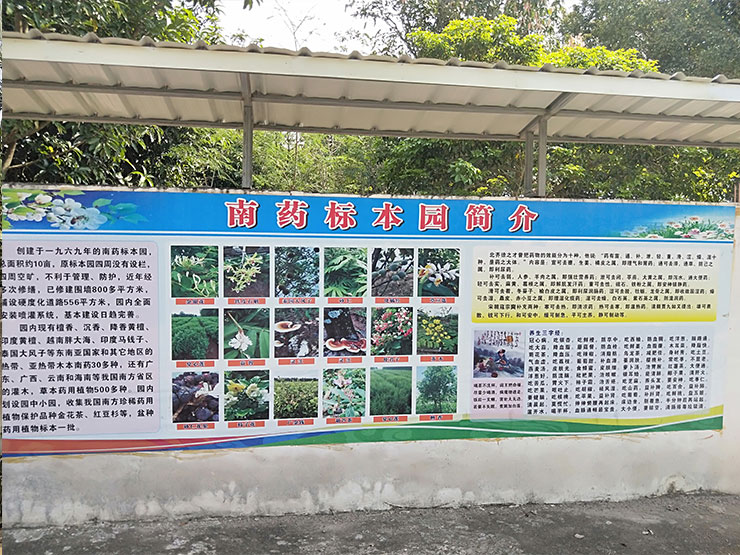 1-1Z21Q10J5128 Z6·尊龙凯时「中国区」官方网站