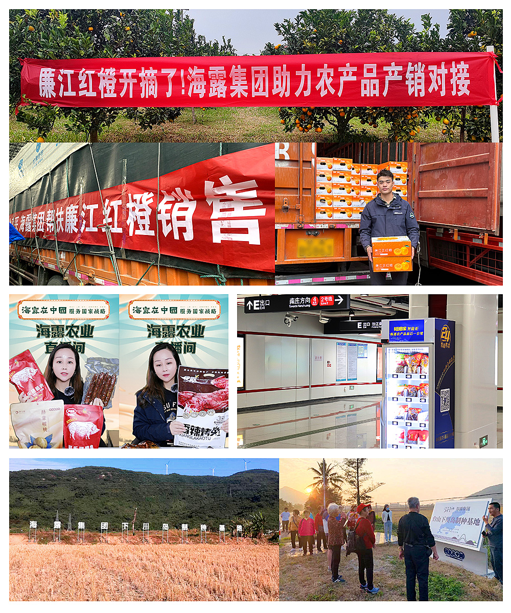 1-2401031QG3L6 Z6·尊龙凯时「中国区」官方网站