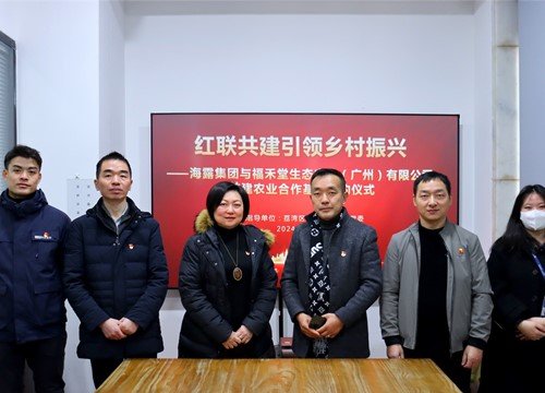 红联共建引领村落振兴，党建促业务深度融合
