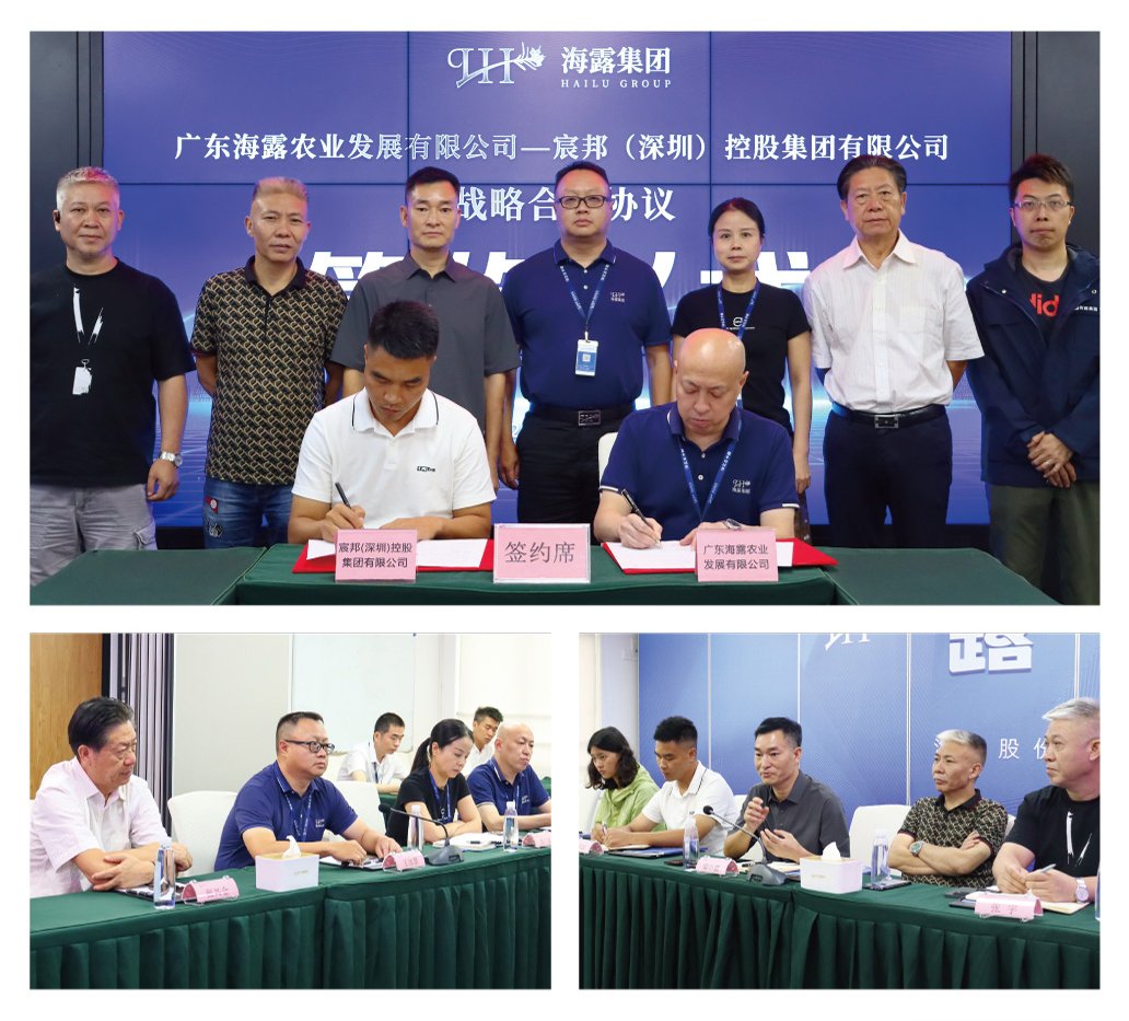 1-25061G6452EQ Z6·尊龙凯时「中国区」官方网站