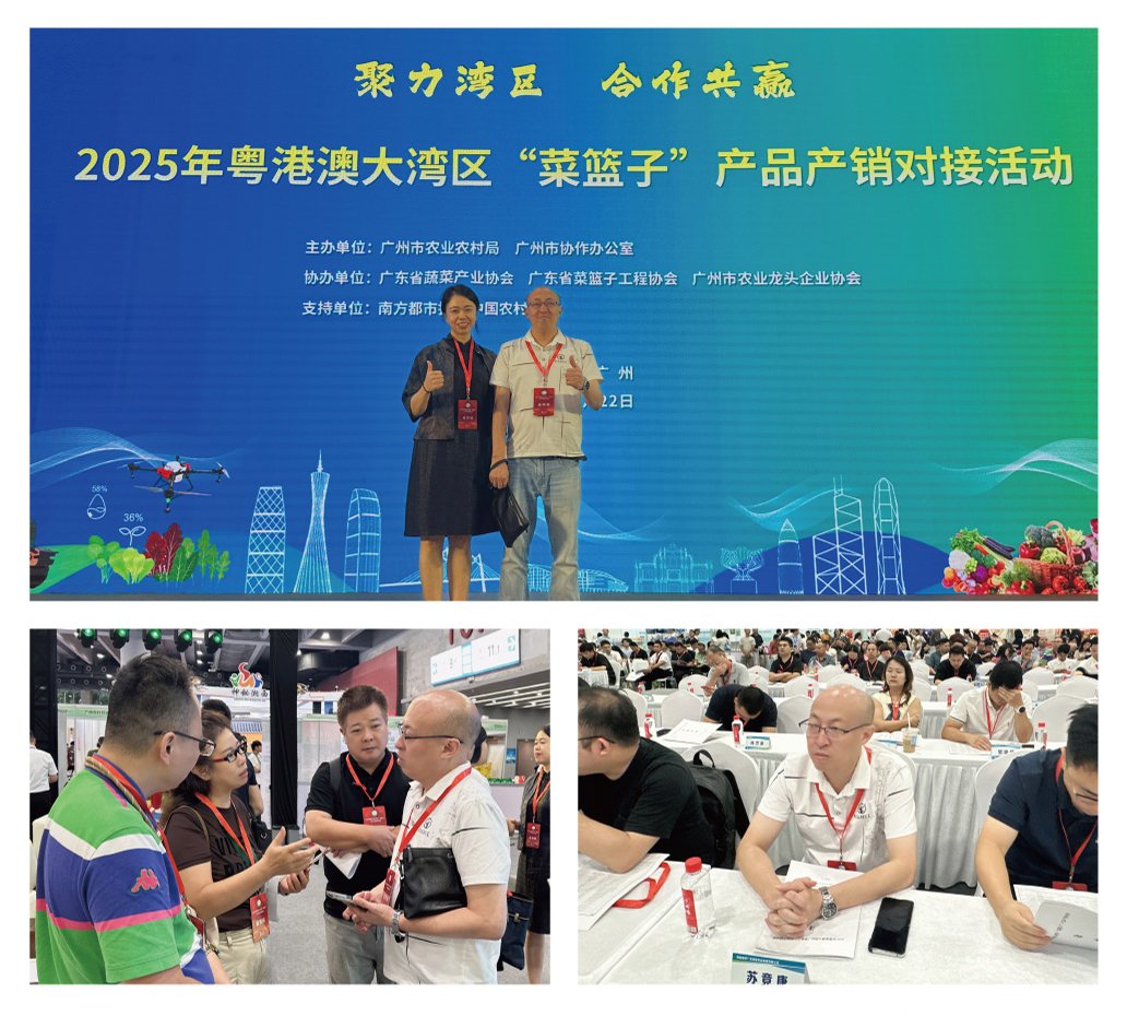 1-250R611033C27 Z6·尊龙凯时「中国区」官方网站