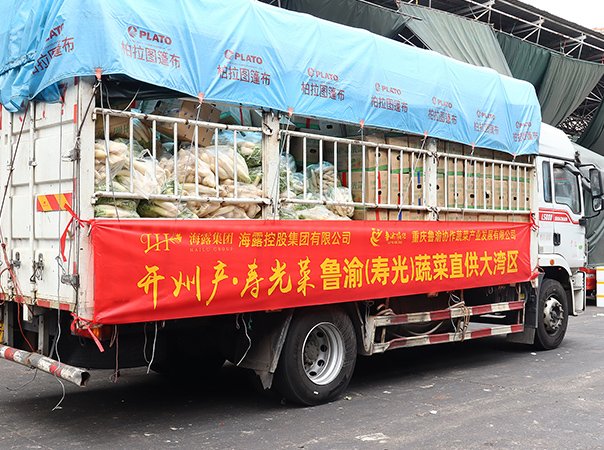 渠路赋能，集团助力沉庆开州蔬菜首发直供大湾区